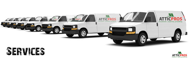 attic-cleaning-services attic-cleaning-services