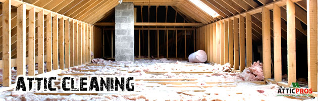 attic-cleaning-services attic-cleaning-services