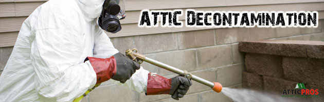 attic-decontamination-specialists